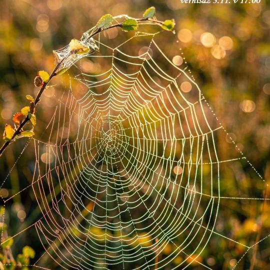 Vernisáž výstavy "Babí léto 2025" 1